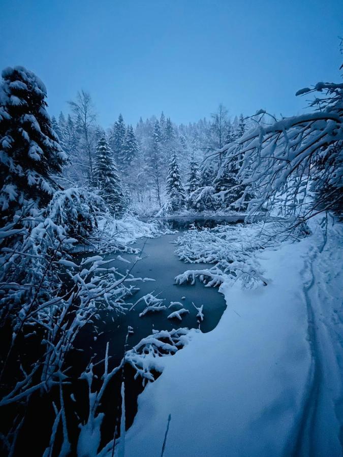 Chalet Des Feignes Ла-Бресс Экстерьер фото