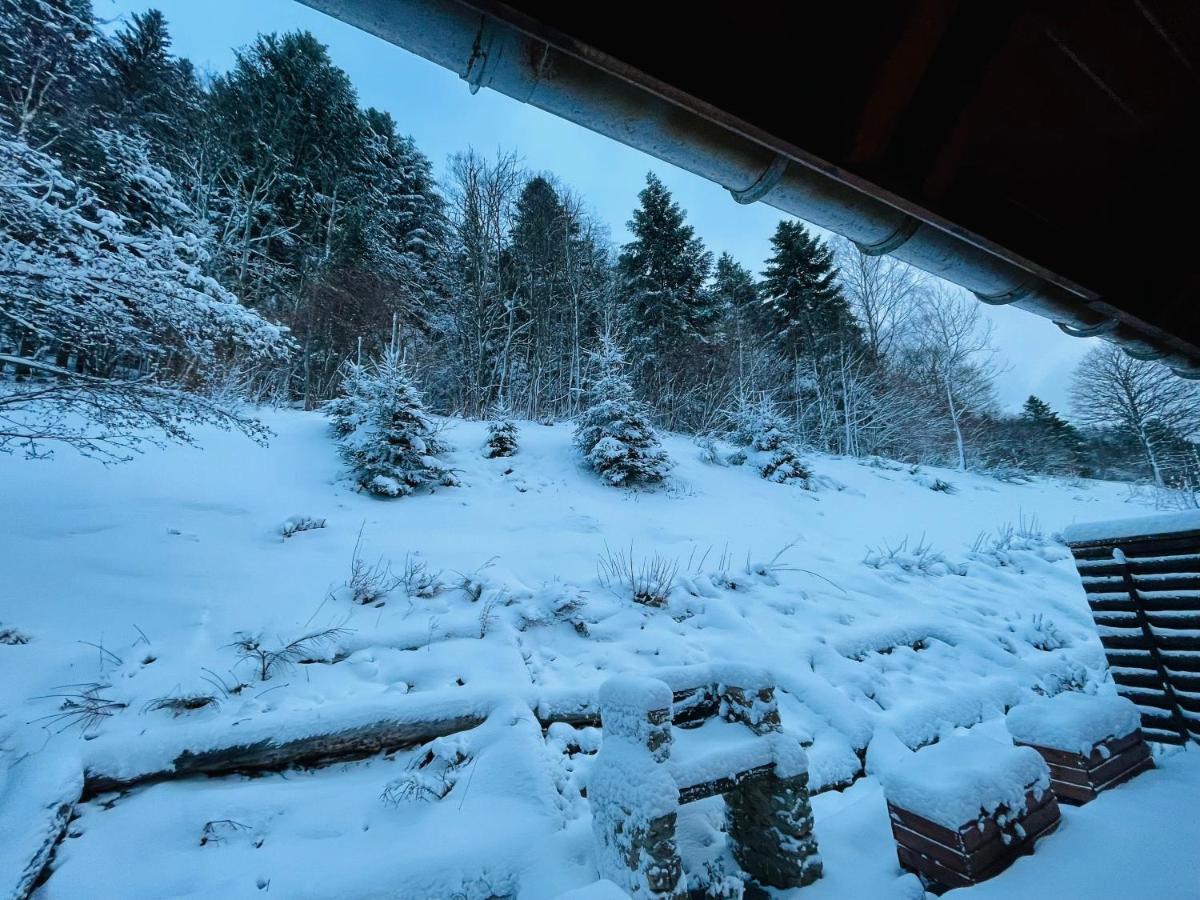 Chalet Des Feignes Ла-Бресс Экстерьер фото