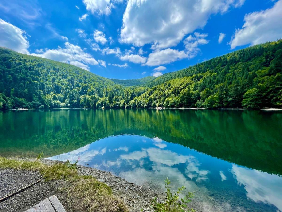 Chalet Des Feignes Ла-Бресс Экстерьер фото